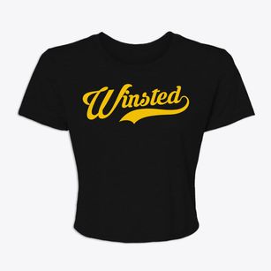 Winsted Minnesota Vintage Team Women's Crop Top