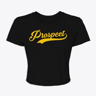 Prospect Pennsylvania Vintage Team Women's Crop Top