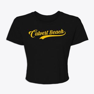 Calvert Beach Maryland Vintage Team Women's Crop Top