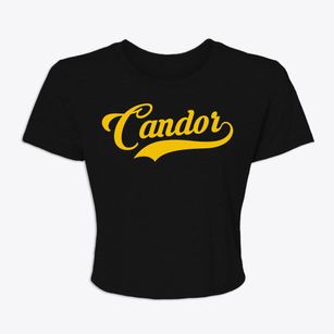 Candor North Carolina Vintage Team Women's Crop Top