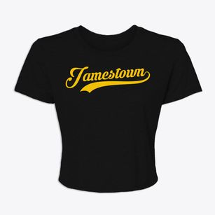 Jamestown Pennsylvania Vintage Team Women's Crop Top