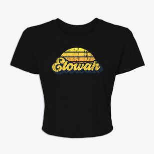 Etowah Arkansas Sublime Sunset Women's Crop Top