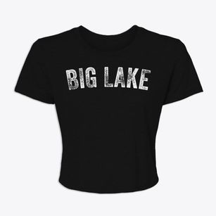 Big Lake Washington Timeless Retro Women's Crop Top