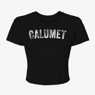 Calumet Michigan Timeless Retro Women's Crop Top