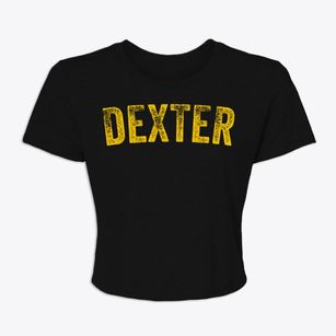 Dexter Michigan Timeless Retro Women's Crop Top