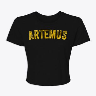 Artemus Kentucky Timeless Retro Women's Crop Top