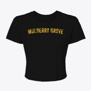 Mulberry Grove Illinois Timeless Retro Women's Crop Top