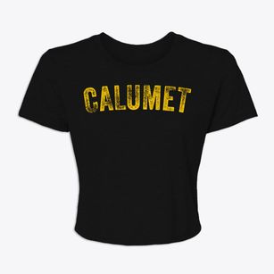 Calumet Minnesota Timeless Retro Women's Crop Top