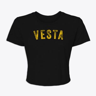 Vesta Minnesota Timeless Retro Women's Crop Top