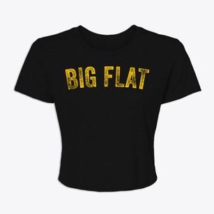 Big Flat Arkansas Timeless Retro Women's Crop Top
