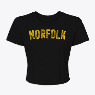 Norfolk Massachusetts Timeless Retro Women's Crop Top