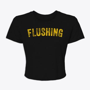 Flushing Michigan Timeless Retro Women's Crop Top