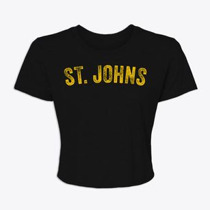 St. Johns Michigan Timeless Retro Women's Crop Top