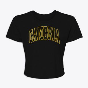 Cambria New York Trendy Block Women's Crop Top