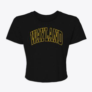 Wayland Michigan Trendy Block Women's Crop Top