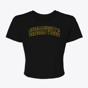 Cherryville Pennsylvania Trendy Block Women's Crop Top