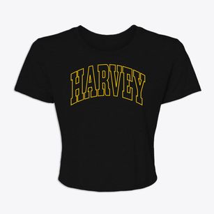 Harvey Illinois Trendy Block Women's Crop Top