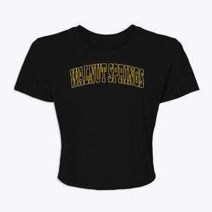 Walnut Springs Texas Trendy Block Women's Crop Top