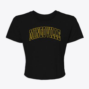 Mingoville Pennsylvania Trendy Block Women's Crop Top