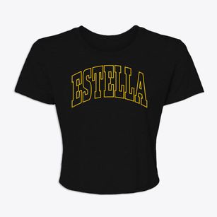 Estella Wisconsin Trendy Block Women's Crop Top