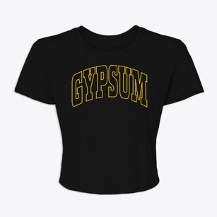 Gypsum Kansas Trendy Block Women's Crop Top