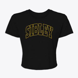 Sibley Missouri Trendy Block Women's Crop Top