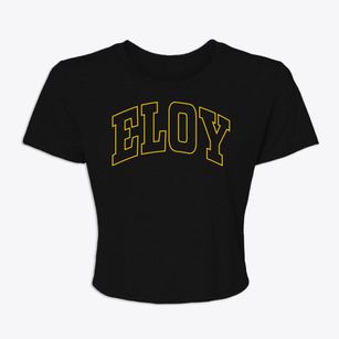 Eloy Arizona Trendy Block Women's Crop Top