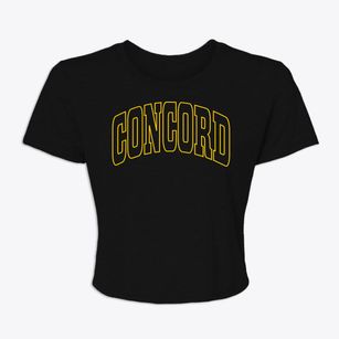 Concord Illinois Trendy Block Women's Crop Top