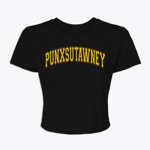 Punxsutawney Pennsylvania Varsity Women's Crop Top
