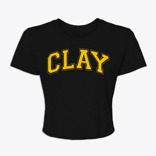 Clay Pennsylvania Varsity Women's Crop Top