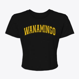 Wanamingo Minnesota Varsity Women's Crop Top