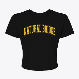 Natural Bridge New York Varsity Women's Crop Top