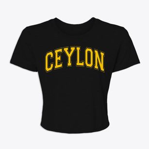Ceylon Minnesota Varsity Women's Crop Top