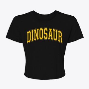 Dinosaur Colorado Varsity Women's Crop Top