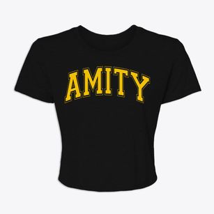Amity Missouri Varsity Women's Crop Top