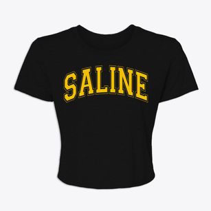 Saline Michigan Varsity Women's Crop Top