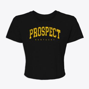 Prospect Kentucky Urban Vibe Women's Crop Top