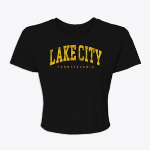 Lake City Pennsylvania Urban Vibe Women's Crop Top