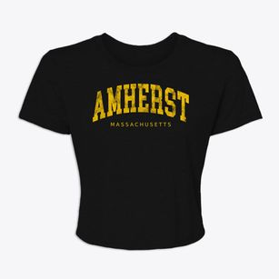 Amherst Massachusetts Urban Vibe Women's Crop Top