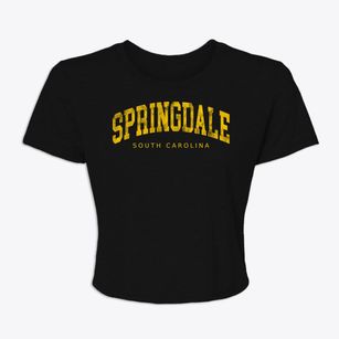 Springdale South Carolina Urban Vibe Women's Crop Top