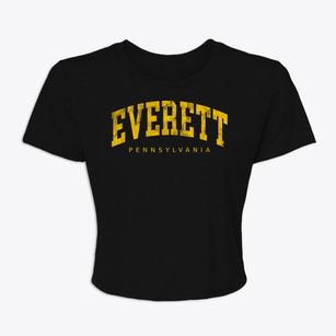 Everett Pennsylvania Urban Vibe Women's Crop Top