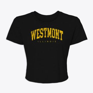 Westmont Illinois Urban Vibe Women's Crop Top