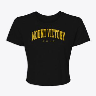 Mount Victory Ohio Urban Vibe Women's Crop Top