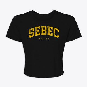 Sebec Maine Urban Vibe Women's Crop Top
