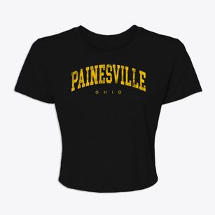 Painesville Ohio Urban Vibe Women's Crop Top