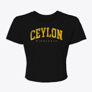 Ceylon Minnesota Urban Vibe Women's Crop Top
