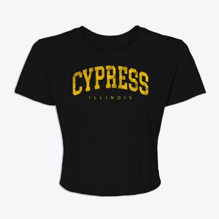 Cypress Illinois Urban Vibe Women's Crop Top