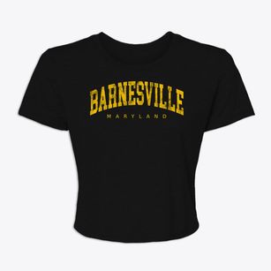 Barnesville Maryland Urban Vibe Women's Crop Top