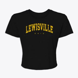Lewisville Ohio Urban Vibe Women's Crop Top