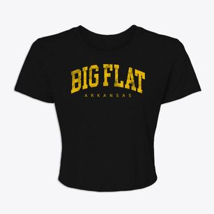 Big Flat Arkansas Urban Vibe Women's Crop Top